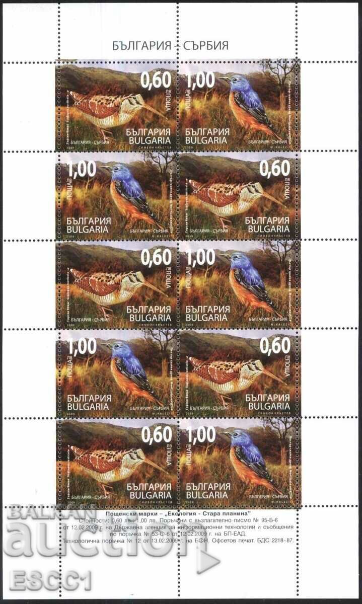 Чисти марки в малък лист Екология Фауна Птици 2009  България
