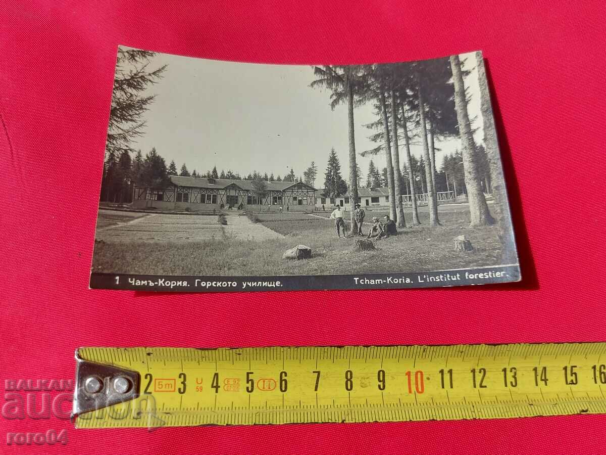 CHAM-KORIA with price 27.00 BGN | € 13.80 CHAM-KORIA with price 27.00 BGN | € 13.80