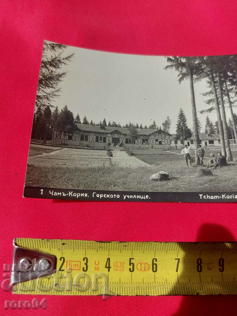 Auction CHAM-KORIA Auction CHAM-KORIA