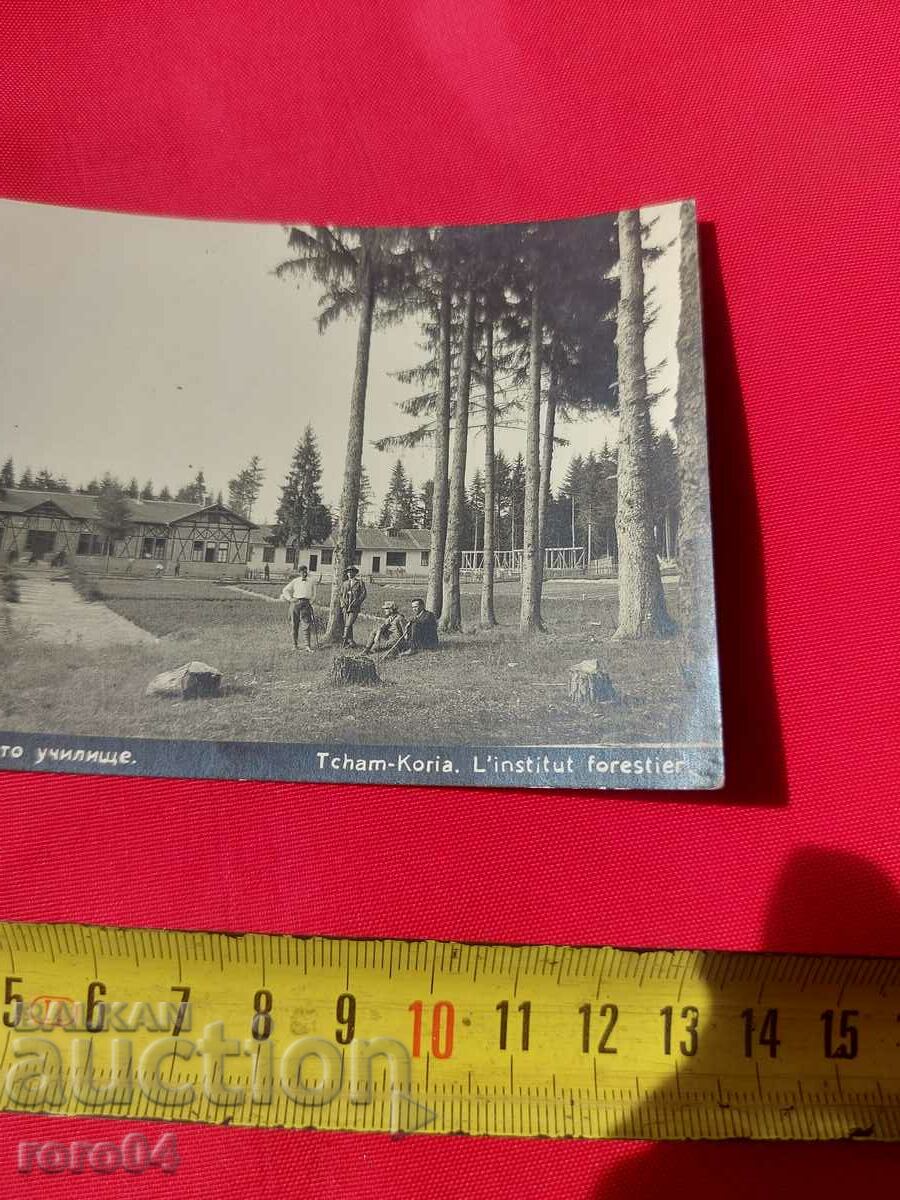 Delivery of CHAM-KORIA Delivery of CHAM-KORIA