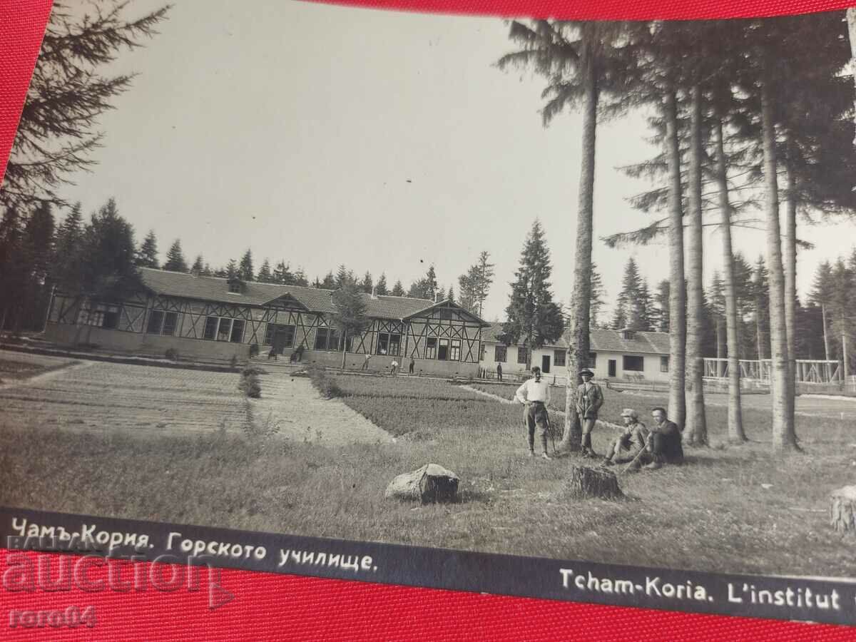 CHAM-KORIA - 5 CHAM-KORIA - 5