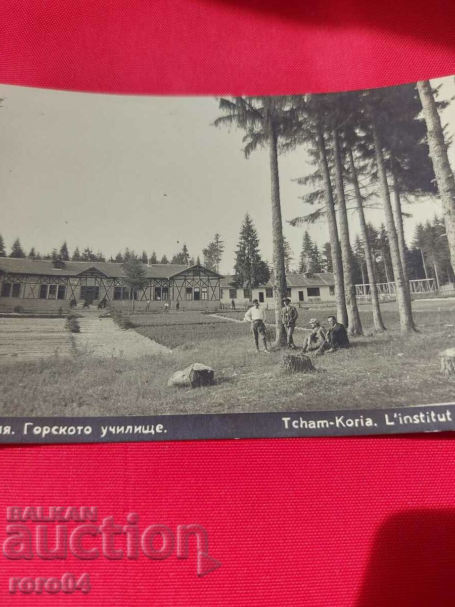 CHAM-KORIA - 7 CHAM-KORIA - 7