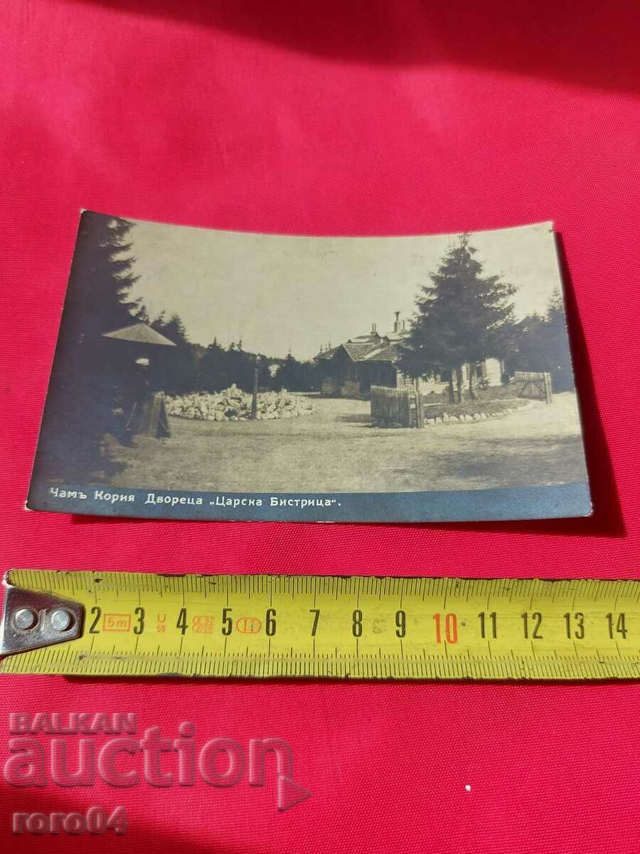 ЧАМ-КОРИЯ с цена € 17.99 | 35.19 лв.