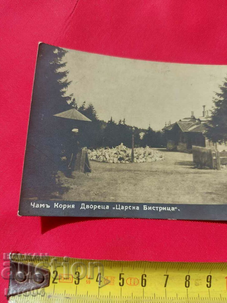 Аукцион ЧАМ-КОРИЯ