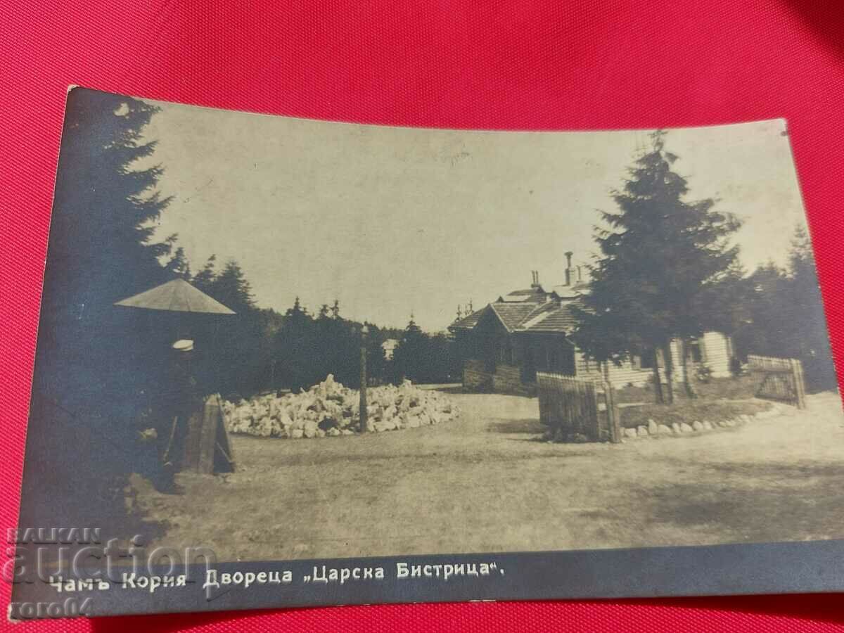 ЧАМ-КОРИЯ - 5