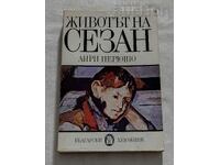 THE LIFE OF CEZANE HENRI PIERCHEUT