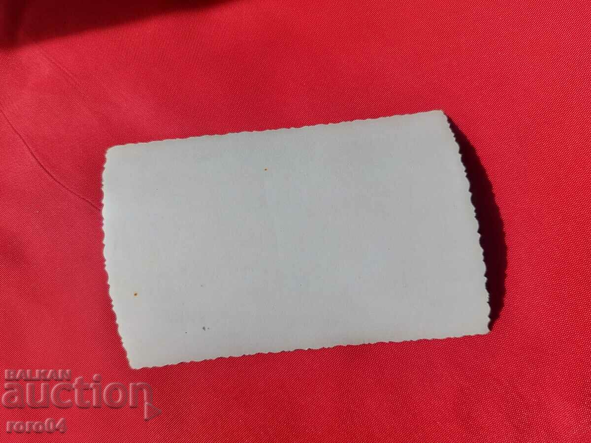 BALKAN - HOOLIGAN CU BALKAN - 7