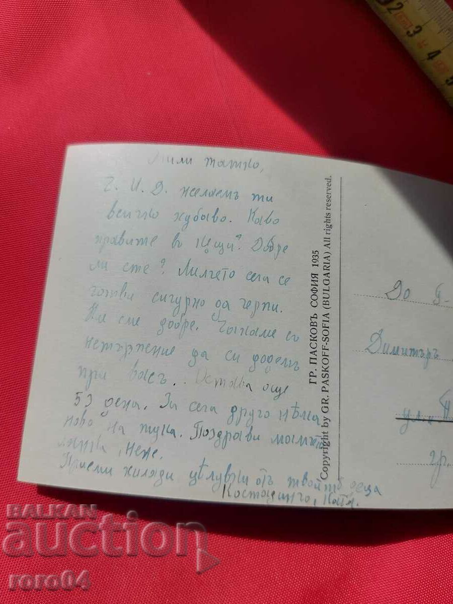 СОФИЯ - 6