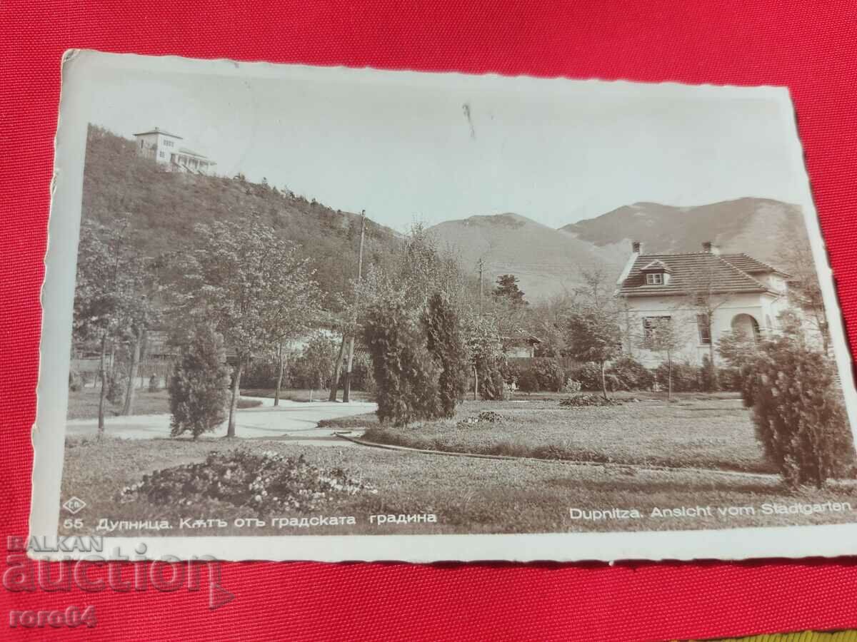 Auction DUPNITSA Auction DUPNITSA