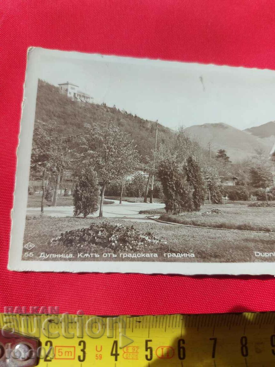 Delivery of DUPNITSA Delivery of DUPNITSA