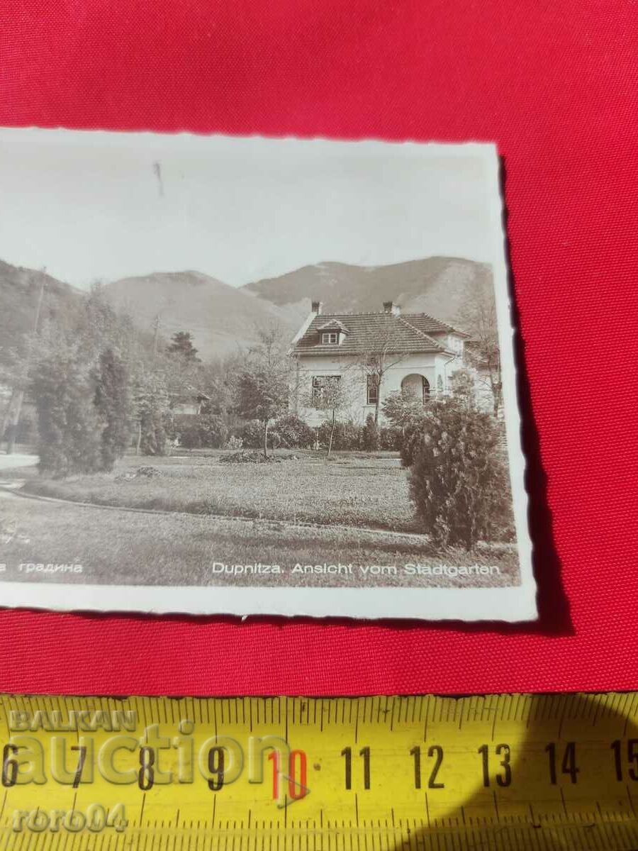 DUPNITSA - 5 DUPNITSA - 5