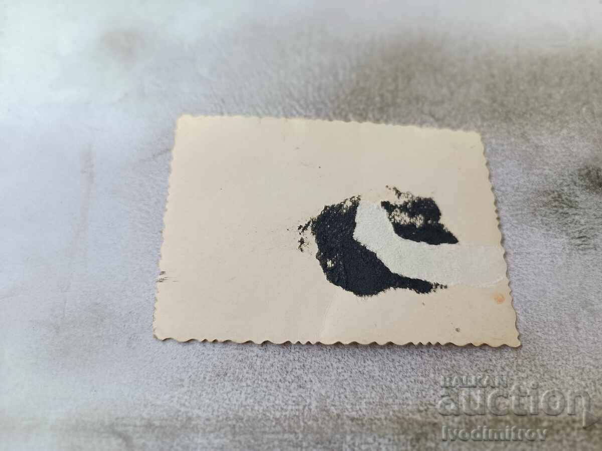 Photo Three men, a woman and two girls in front of a monument with price 1.75 BGN | € 0.89 Photo Three men, a woman and two girls in front of a monument with price 1.75 BGN | € 0.89