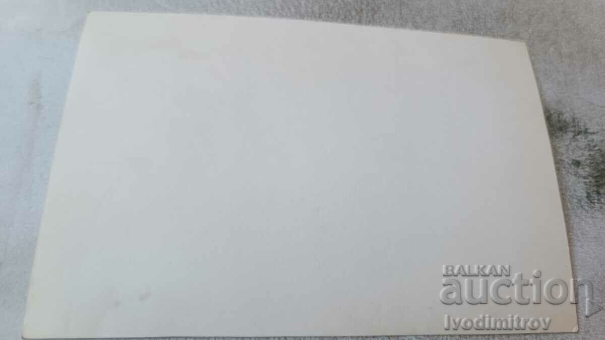 Φωτογραφία Νεολαία στην παραλία με τιμή 2.65 BGN | € 1.35 Φωτογραφία Νεολαία στην παραλία με τιμή 2.65 BGN | € 1.35