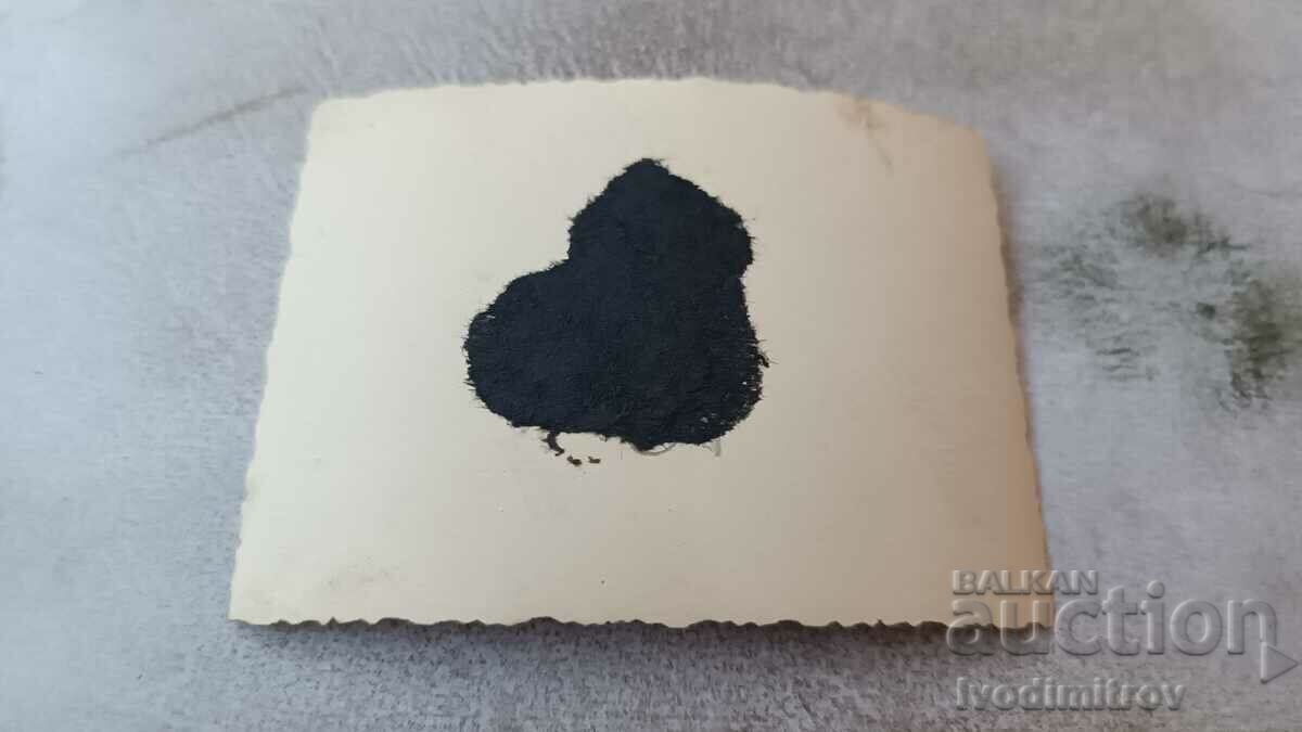 Photo Man woman and dog in front of a wooden fence in winter with price 2.35 BGN | € 1.20 Photo Man woman and dog in front of a wooden fence in winter with price 2.35 BGN | € 1.20