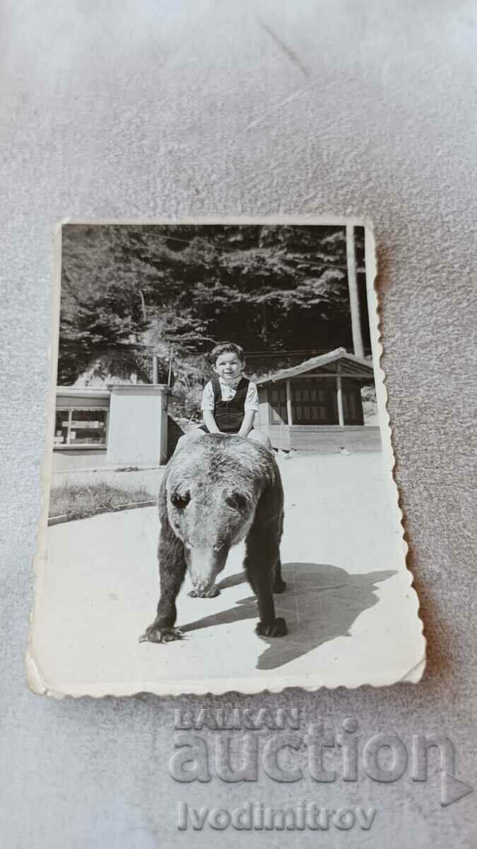 Снимка Костенец Момче върху мечка 1962