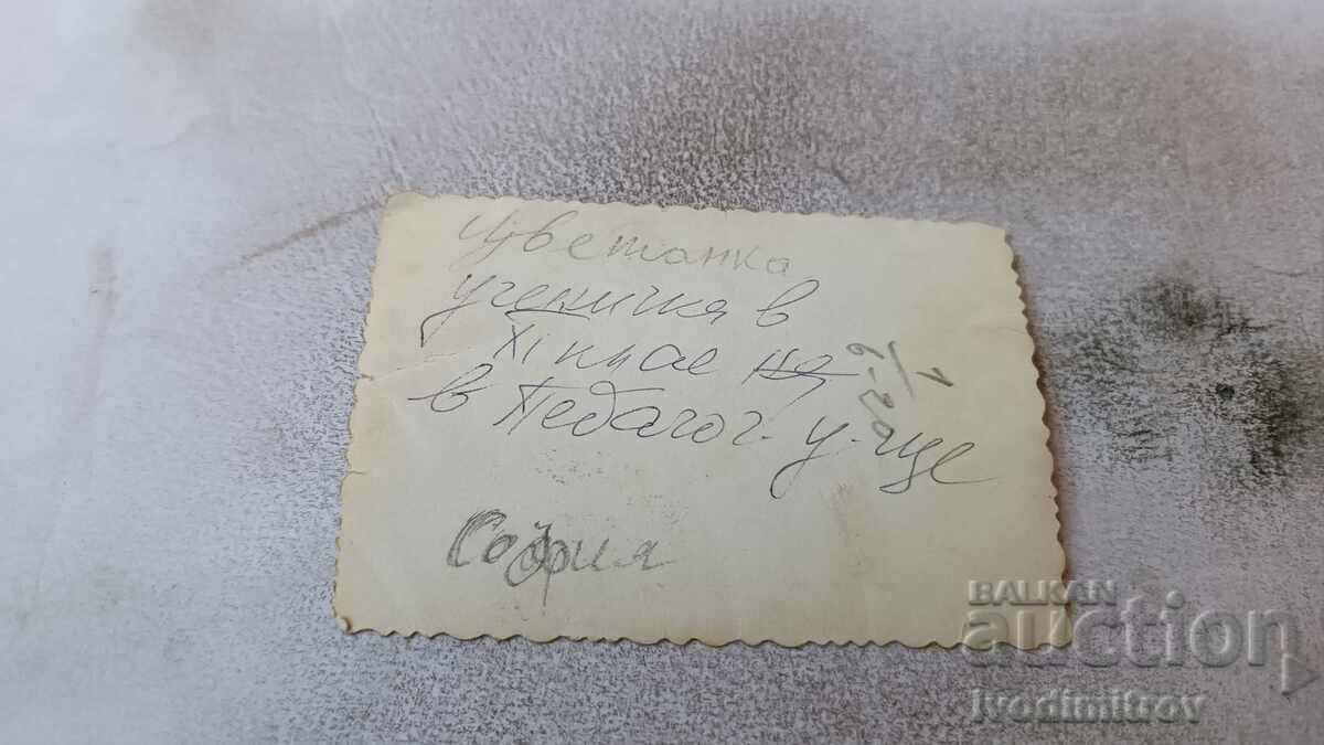 Photo Sofia Uchenichki from the XI grade of the Pedagogical School with price 0.65 BGN | € 0.33 Photo Sofia Uchenichki from the XI grade of the Pedagogical School with price 0.65 BGN | € 0.33