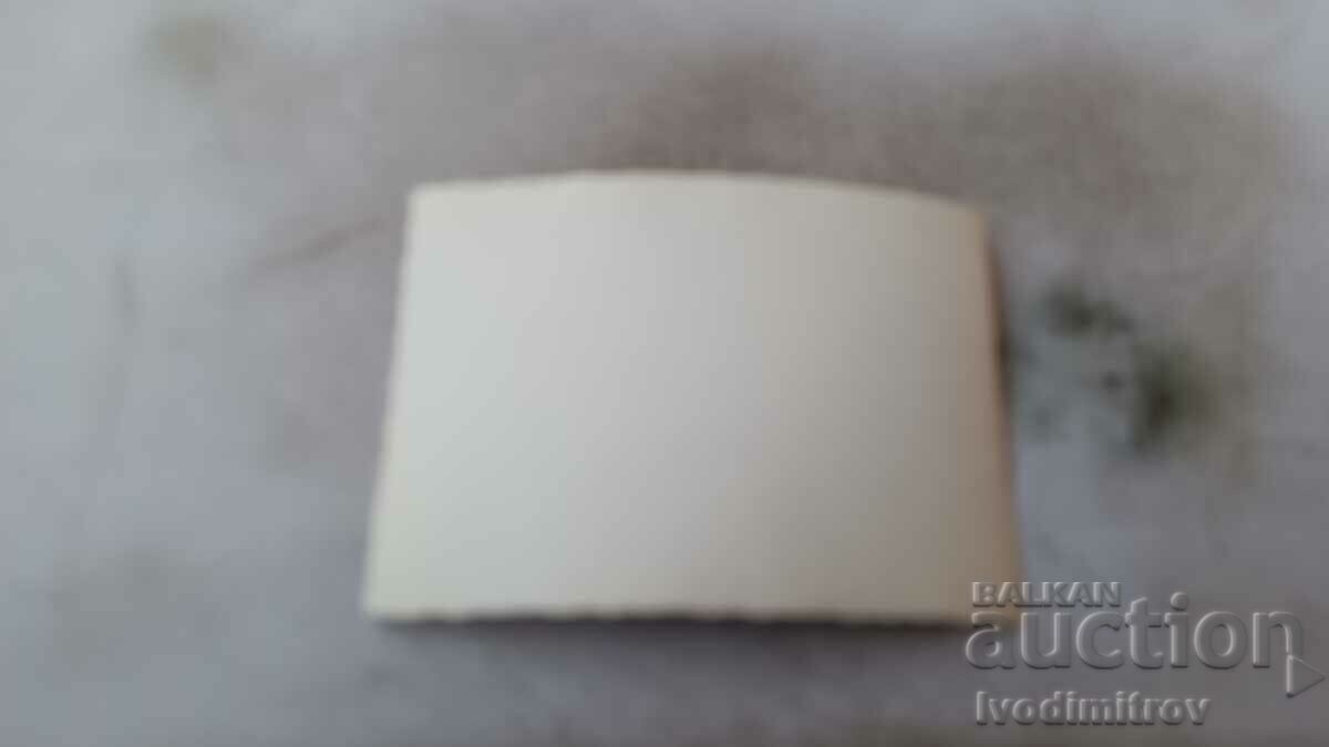 Photo Two young women with price 0.85 BGN | € 0.43 Photo Two young women with price 0.85 BGN | € 0.43