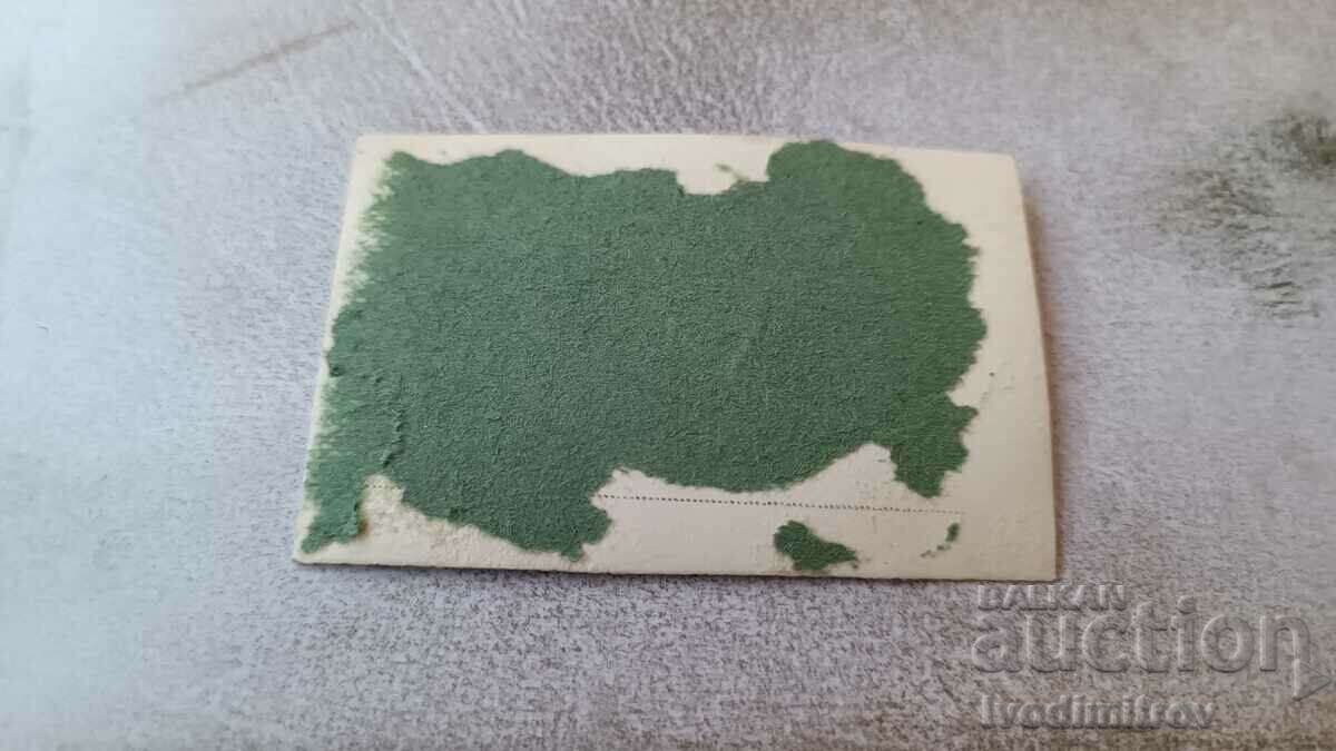 Photo Four men on a donkey cart with price 0.85 BGN | € 0.43 Photo Four men on a donkey cart with price 0.85 BGN | € 0.43