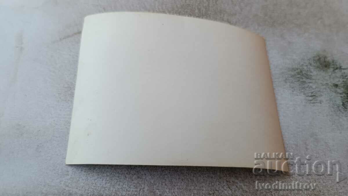 Φωτογραφία Γυναίκα που κάθεται σε ένα σωρό από ξύλο στην αυλή με τιμή 0.75 BGN | € 0.38 Φωτογραφία Γυναίκα που κάθεται σε ένα σωρό από ξύλο στην αυλή με τιμή 0.75 BGN | € 0.38