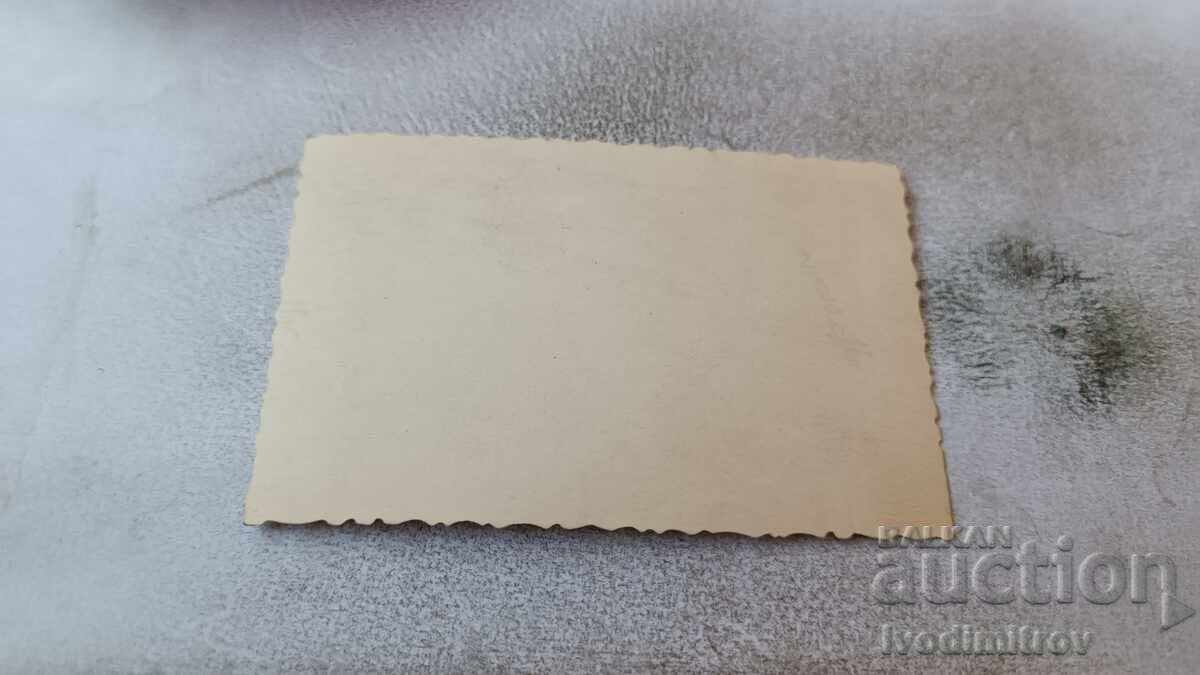 Αξιωματικός φωτογραφίας σε μονοπάτι στην αυλή με τιμή 0.95 BGN | € 0.49 Αξιωματικός φωτογραφίας σε μονοπάτι στην αυλή με τιμή 0.95 BGN | € 0.49