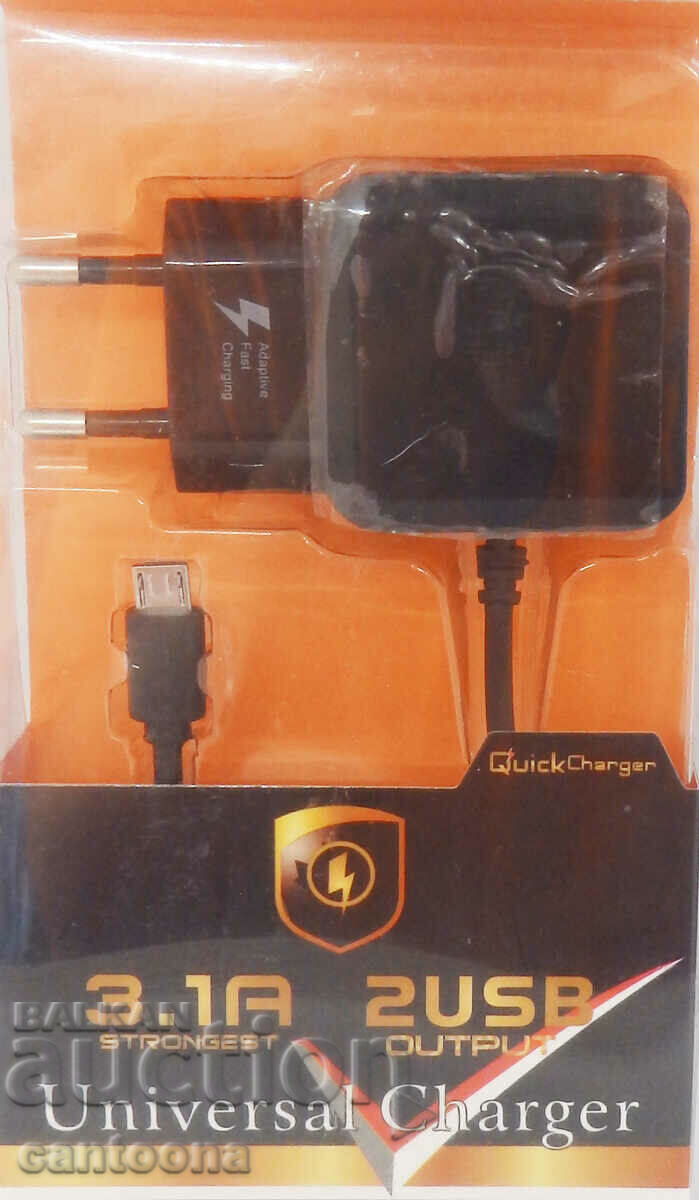 Γρήγορος φορτιστής με 2 θύρες USB και καλώδιο micro USB, 3,1 A