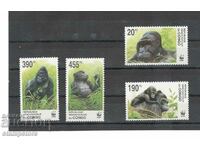 DR Congo - Monkeys - WWF