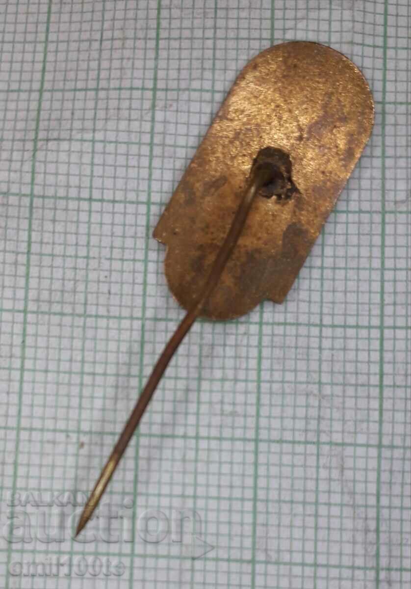 Delivery of Badge - Republican Village Sports Day Mihailovgradski approx Delivery of Badge - Republican Village Sports Day Mihailovgradski approx