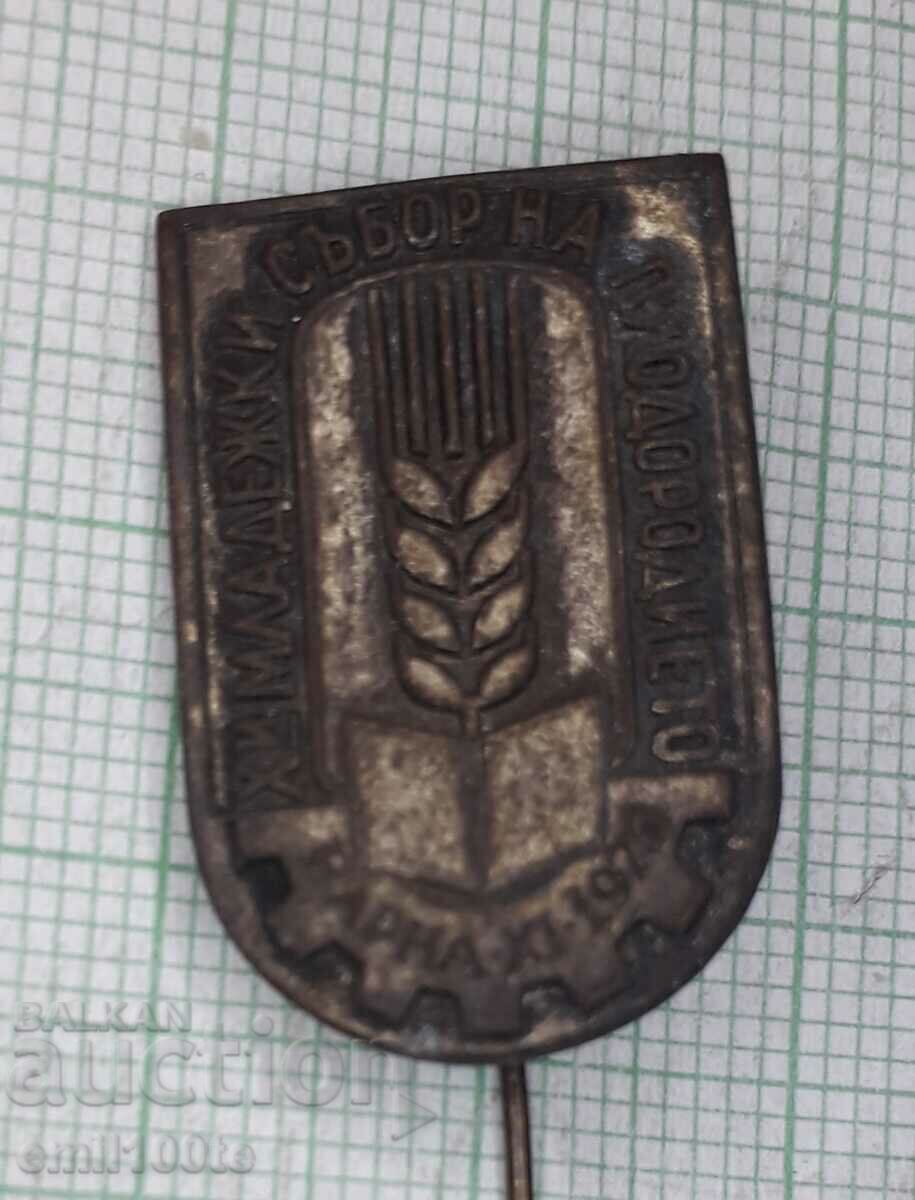 Badge - Youth Council of Fertility Varna 1973