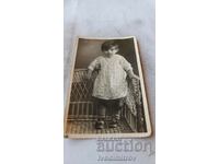 Photo Sofia Little girl in a wicker chair 1936
