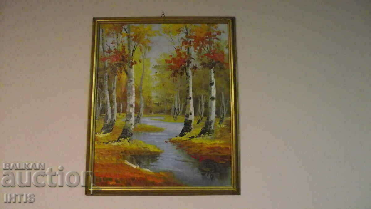 OLD picture - / Landscape - Birches / - oil - Super -