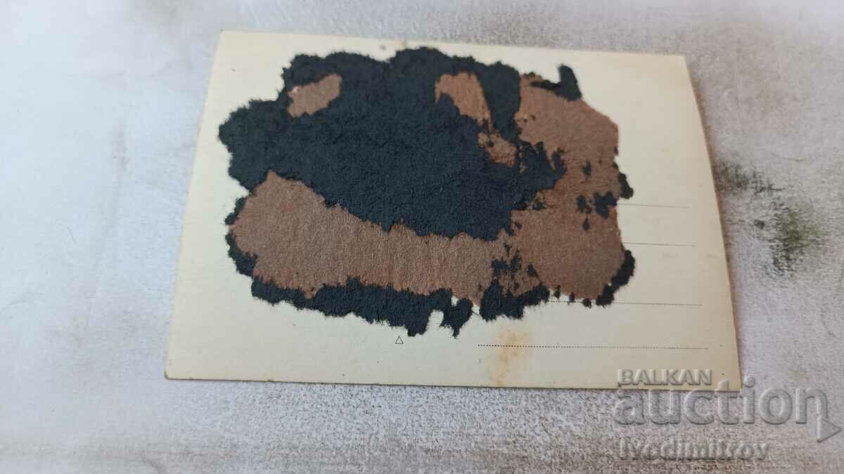 Снимка Жена с мрежа с покупки с цена 0.75 лв. | € 0.38 Снимка Жена с мрежа с покупки с цена 0.75 лв. | € 0.38