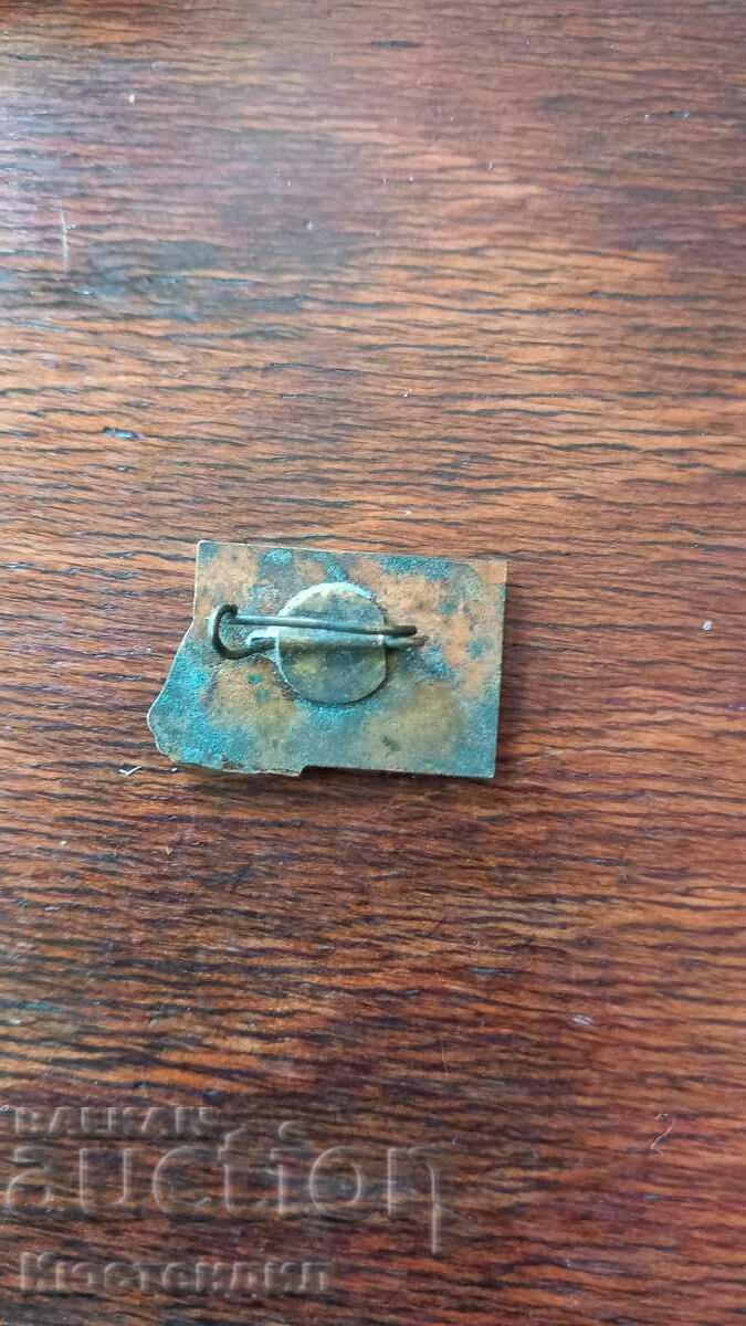 Auction OLD COMMUNIST LABOR BADGE BRONZE ENAMEL Auction OLD COMMUNIST LABOR BADGE BRONZE ENAMEL