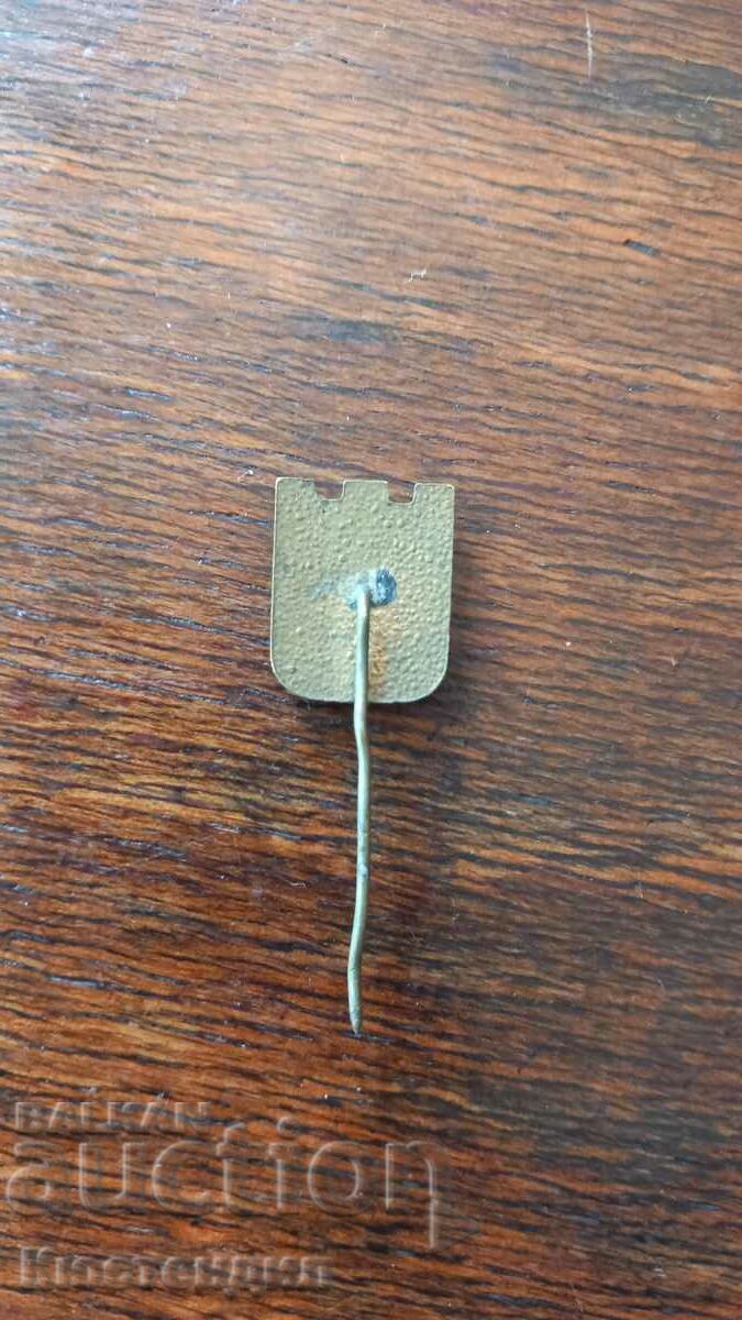 Auction  OLD BADGE KNOW THE SOCIALIST FATHERLAND BRONZE ENAMEL