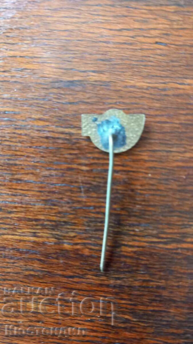 Auction OLD BFW BRONZE ENAMEL BADGE Auction OLD BFW BRONZE ENAMEL BADGE