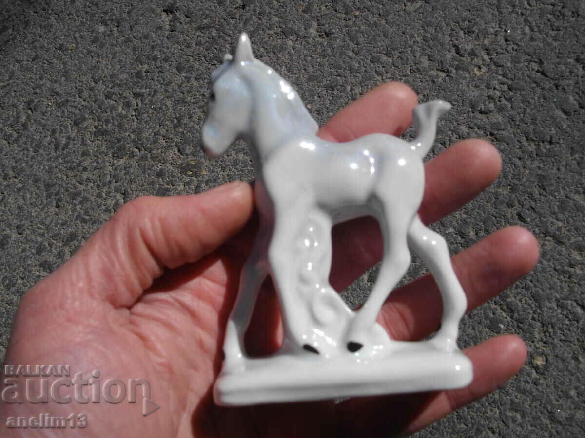 Livrarea CAL VECHI DE PORCELAN