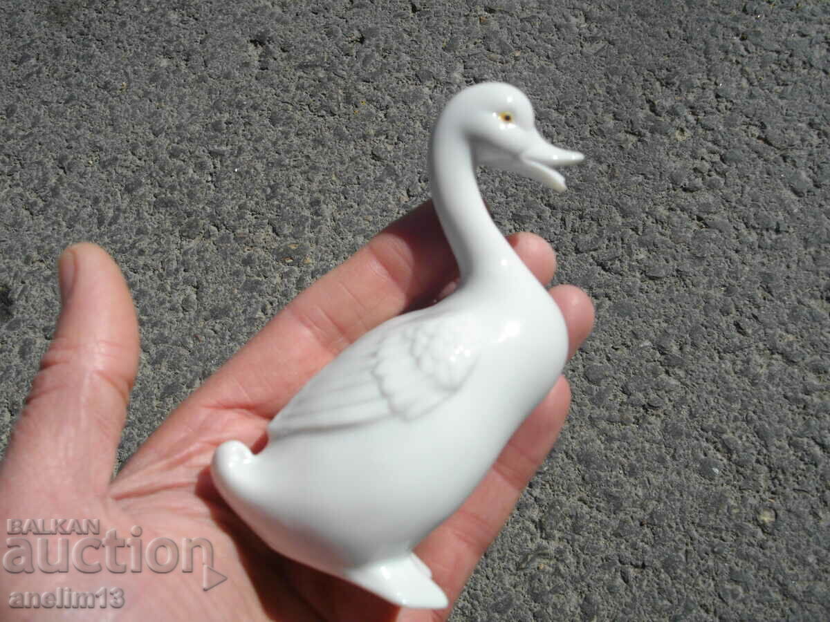 STAR PORCELAN - 5 STAR PORCELAN - 5