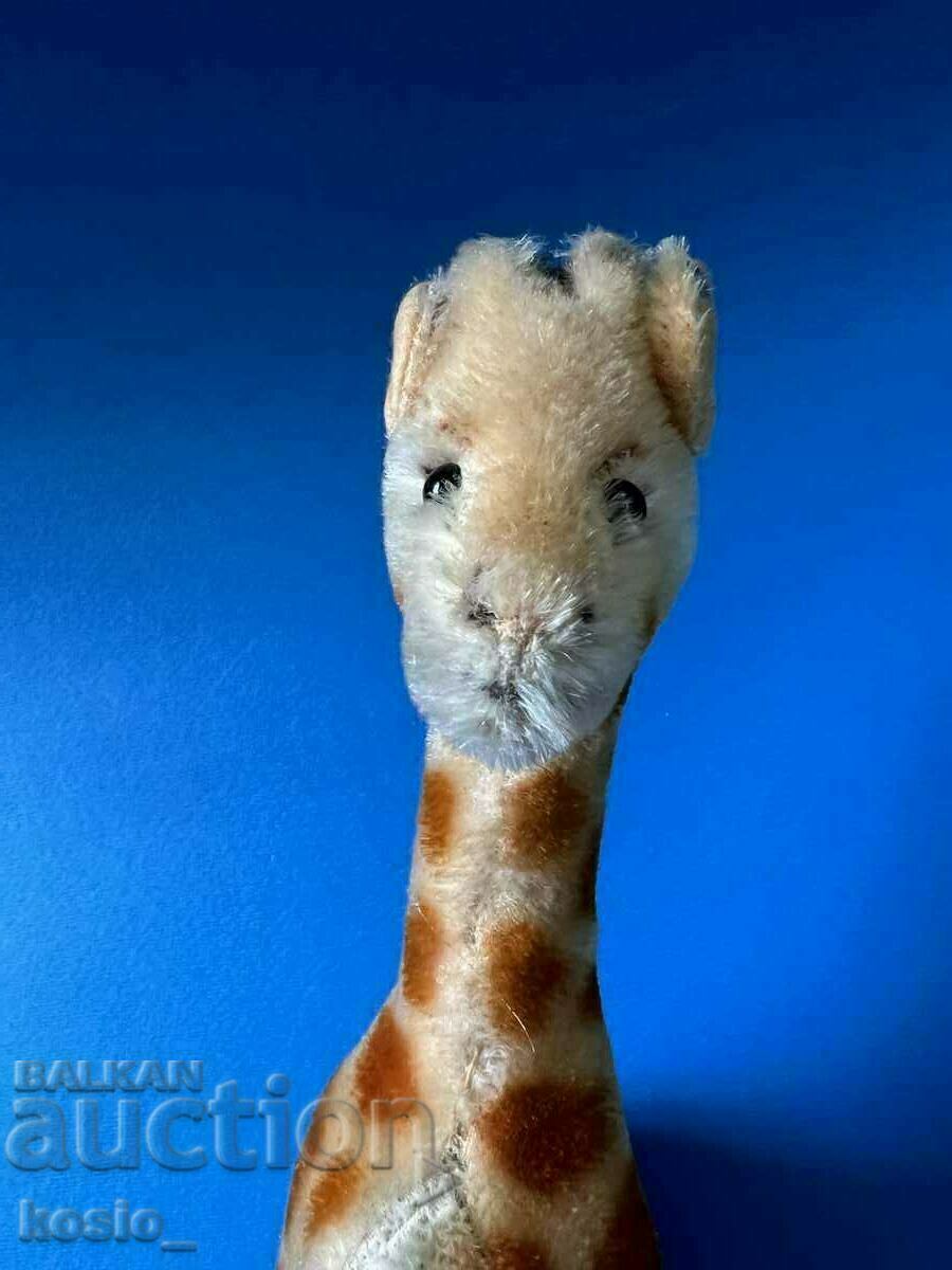 Delivery of Shteiff plush toy Delivery of Shteiff plush toy