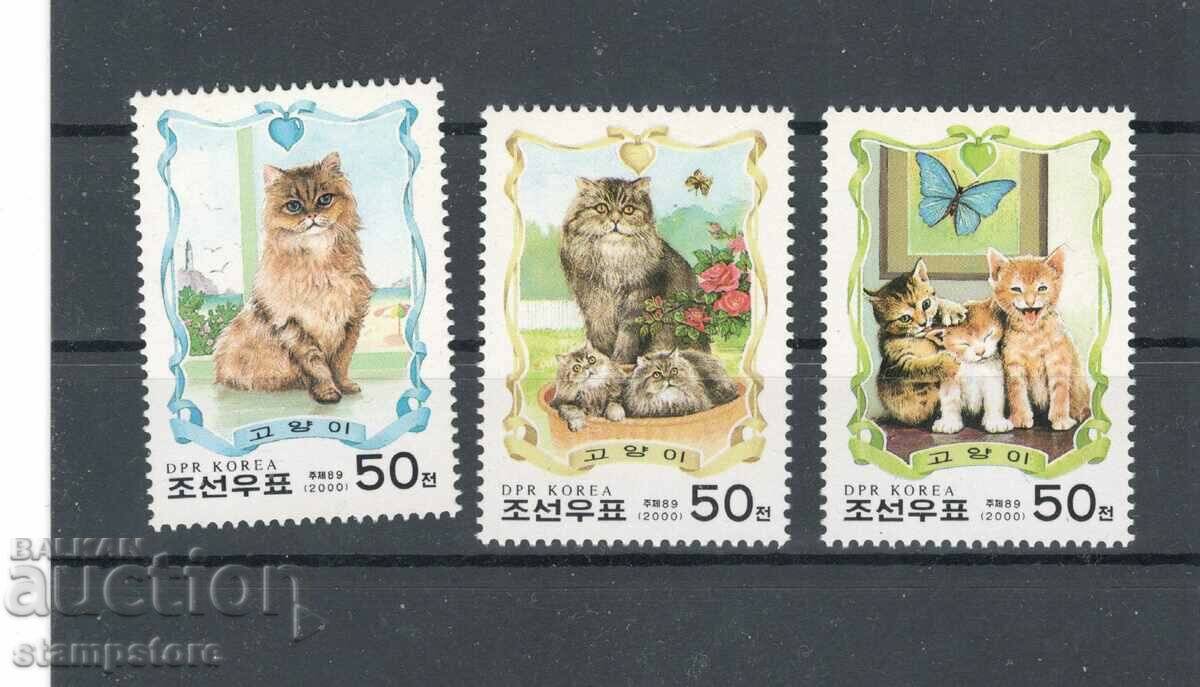 Северна Корея - Котки