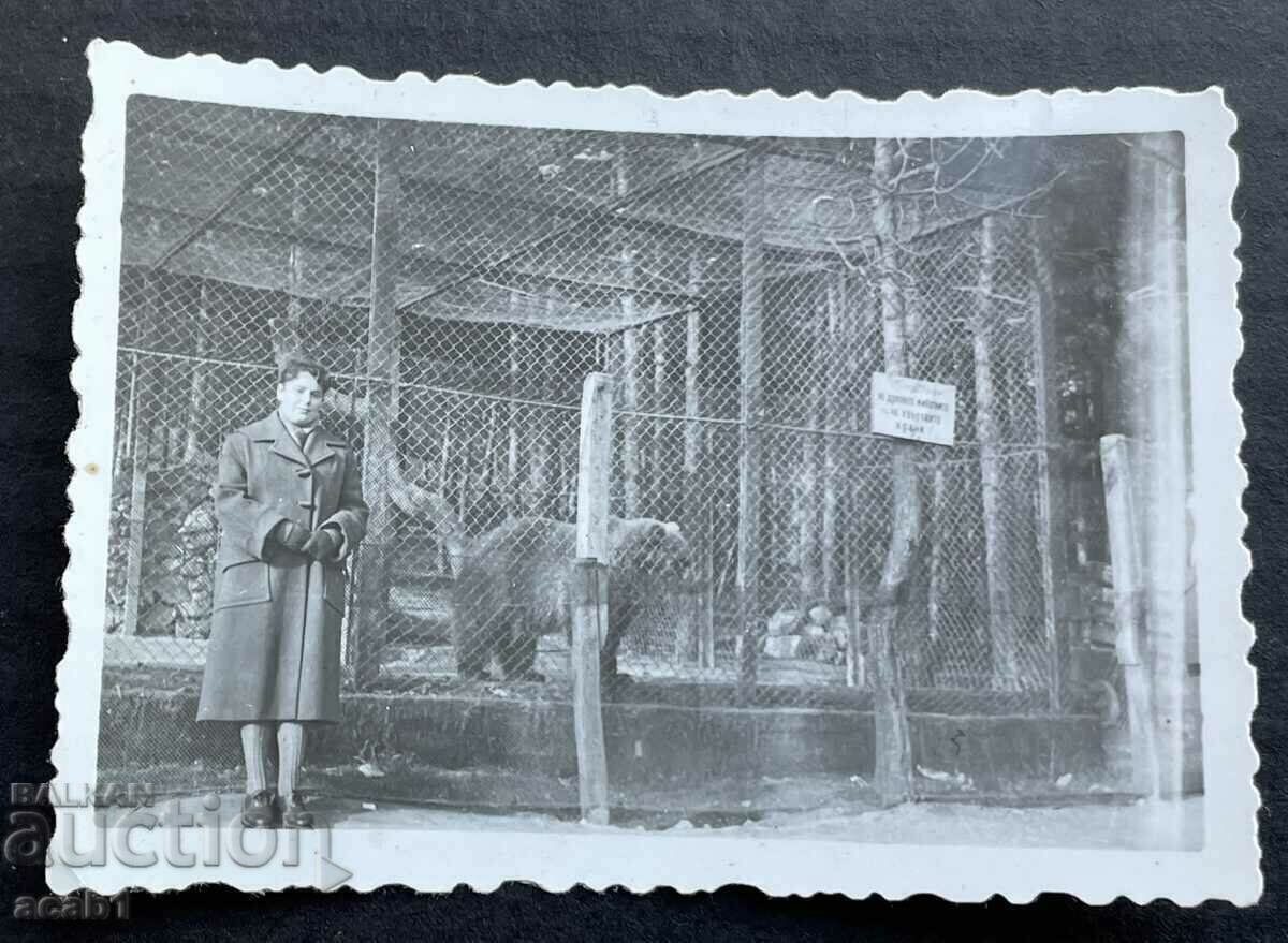 Зоопарка в Хасково снимка с мечока