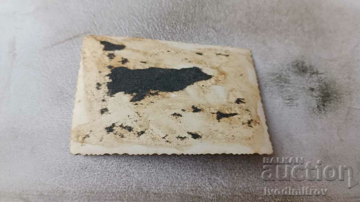 Photo Youth with a ball on a soccer field with price 0.85 BGN | € 0.43 Photo Youth with a ball on a soccer field with price 0.85 BGN | € 0.43