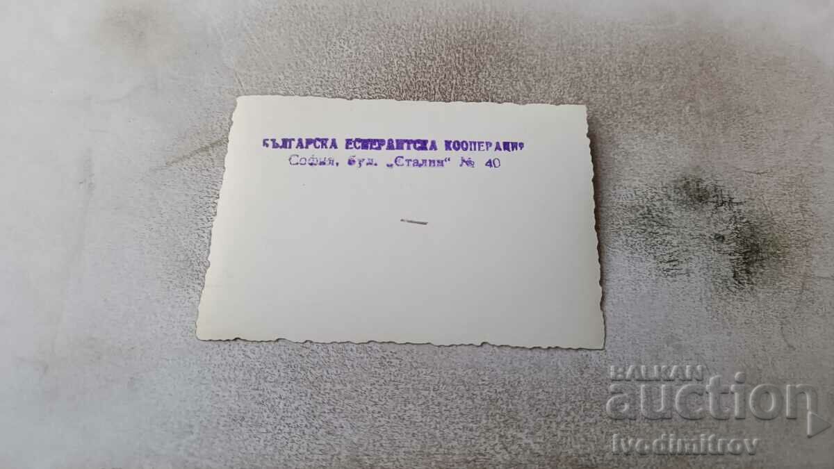 Photo Young women at the Esperanto Congress with price 0.85 BGN | € 0.43 Photo Young women at the Esperanto Congress with price 0.85 BGN | € 0.43