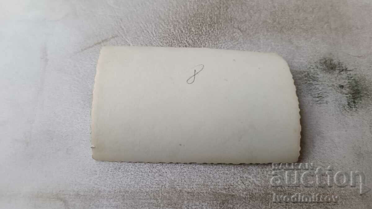 Fotografie Bărbați și femei tinere cu un steag roșu într-un lan de porumb cu preț 0.85 BGN | € 0.43 Fotografie Bărbați și femei tinere cu un steag roșu într-un lan de porumb cu preț 0.85 BGN | € 0.43