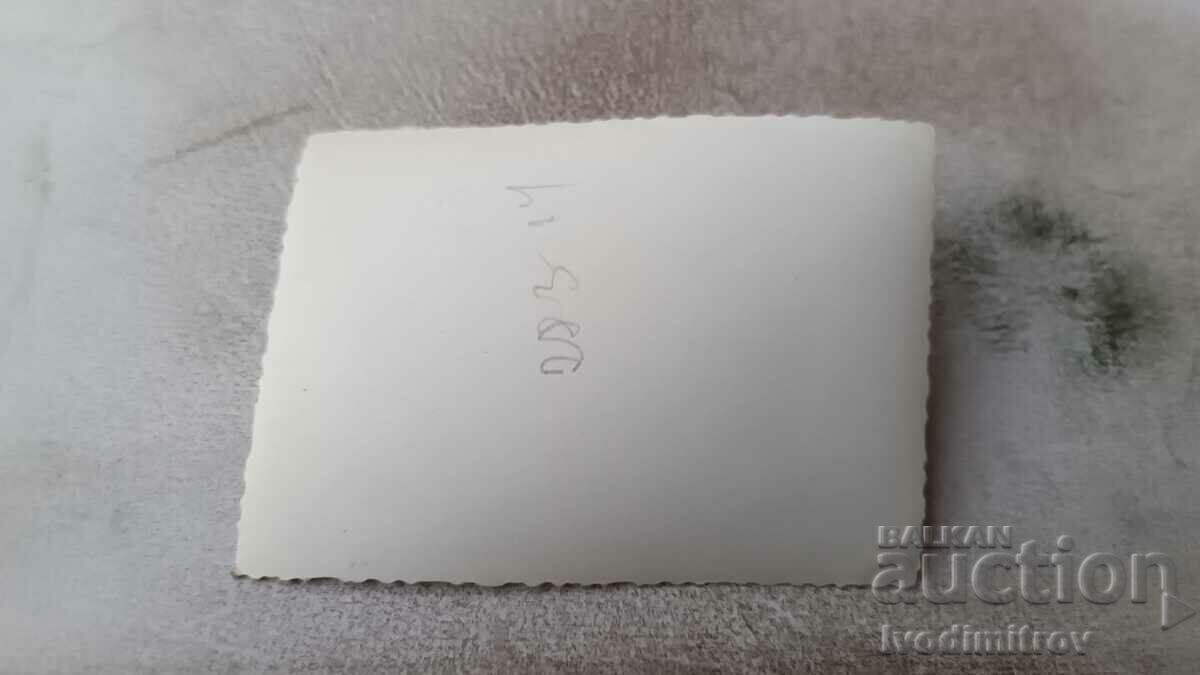 Φωτογραφία Ένα αγόρι και ένα κορίτσι με έναν κουμπαρά στο λιβάδι με τιμή 0.85 BGN | € 0.43 Φωτογραφία Ένα αγόρι και ένα κορίτσι με έναν κουμπαρά στο λιβάδι με τιμή 0.85 BGN | € 0.43