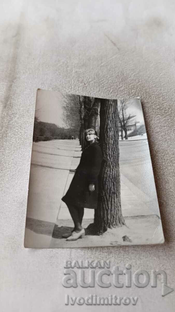 Photo A young girl leaning against a tree along a boulevard