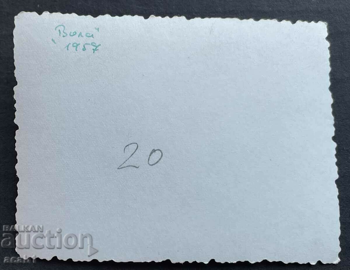 Vola Peak 57 with price 7.99 BGN | € 4.09 Vola Peak 57 with price 7.99 BGN | € 4.09