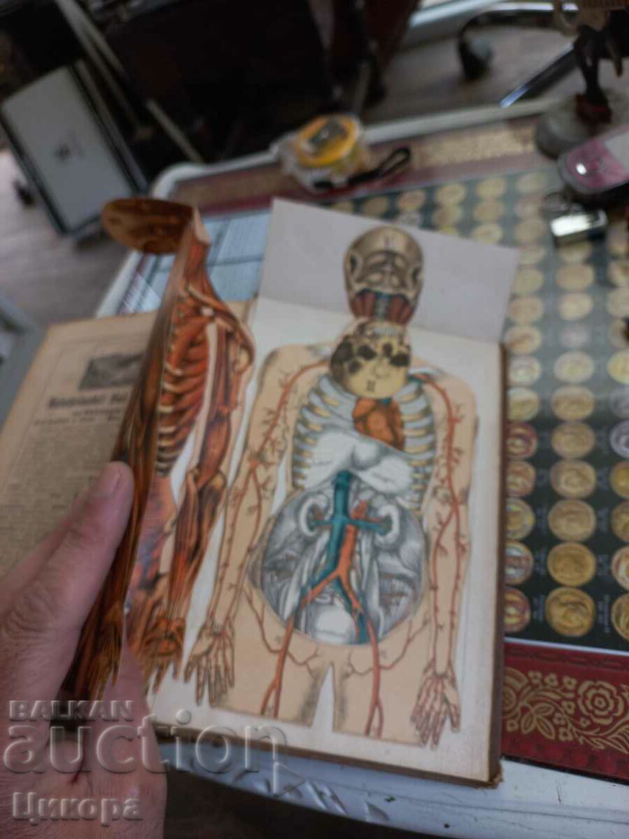 STARA GERMAN BOOK - 5 STARA GERMAN BOOK - 5