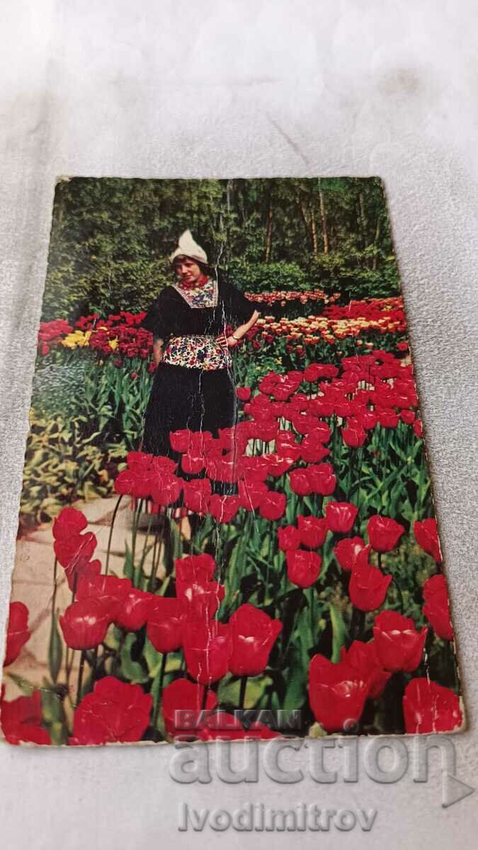 Postcard Holland in Flowerdecoration 1964