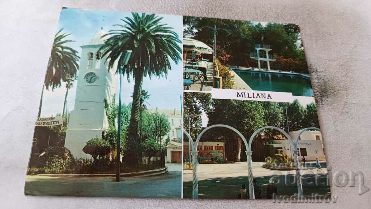 Пощенска картичка Miliana Колаж