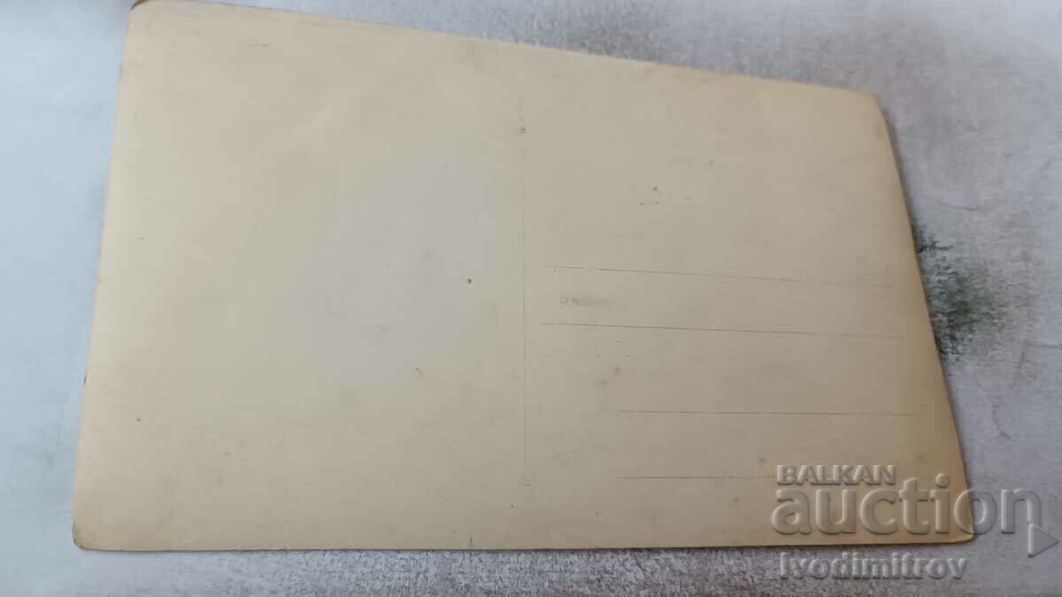 Foto Tineret și fete și copii pe un pod de lemn cu preț 2.35 BGN | € 1.20