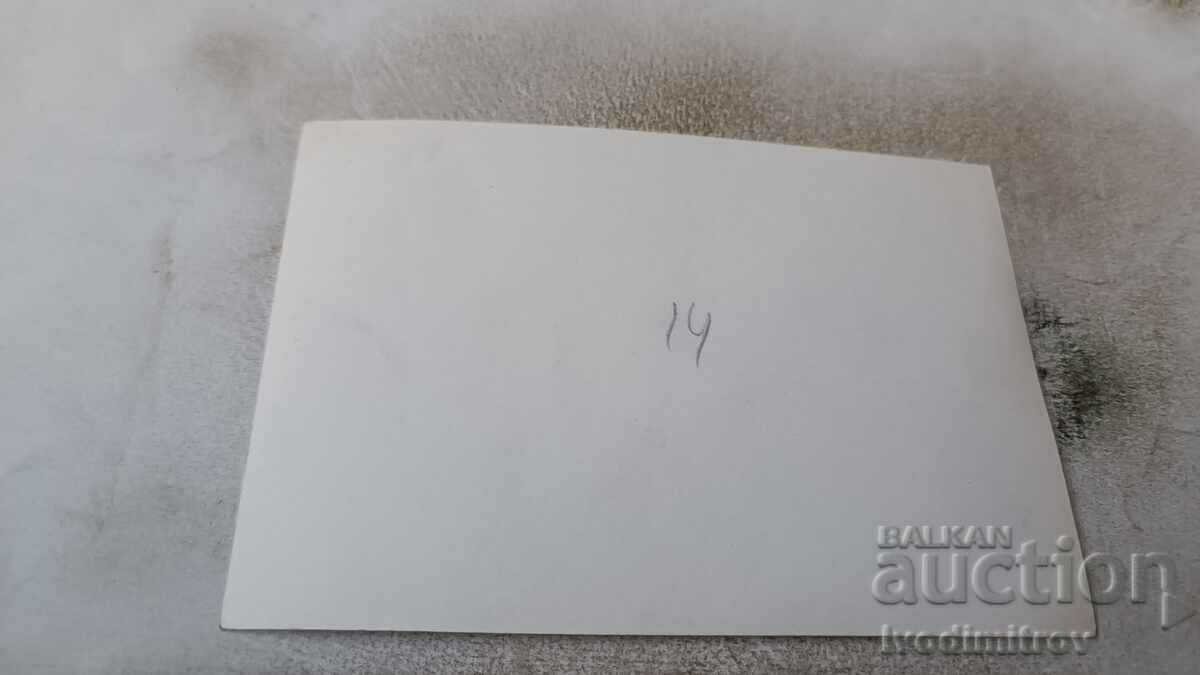 Φωτογραφία Σπίτι στα βουνά με τιμή 0.85 BGN | € 0.43 Φωτογραφία Σπίτι στα βουνά με τιμή 0.85 BGN | € 0.43